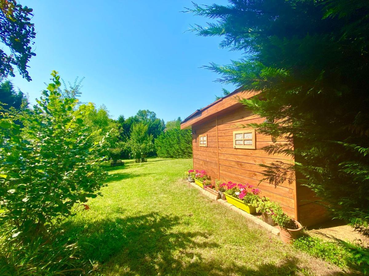 O Clair De Lune Au Coeur De Sarlat - Chambres Climatisees - Parking Prive - Piscine Chauffee - Spa Et Massages מראה חיצוני תמונה