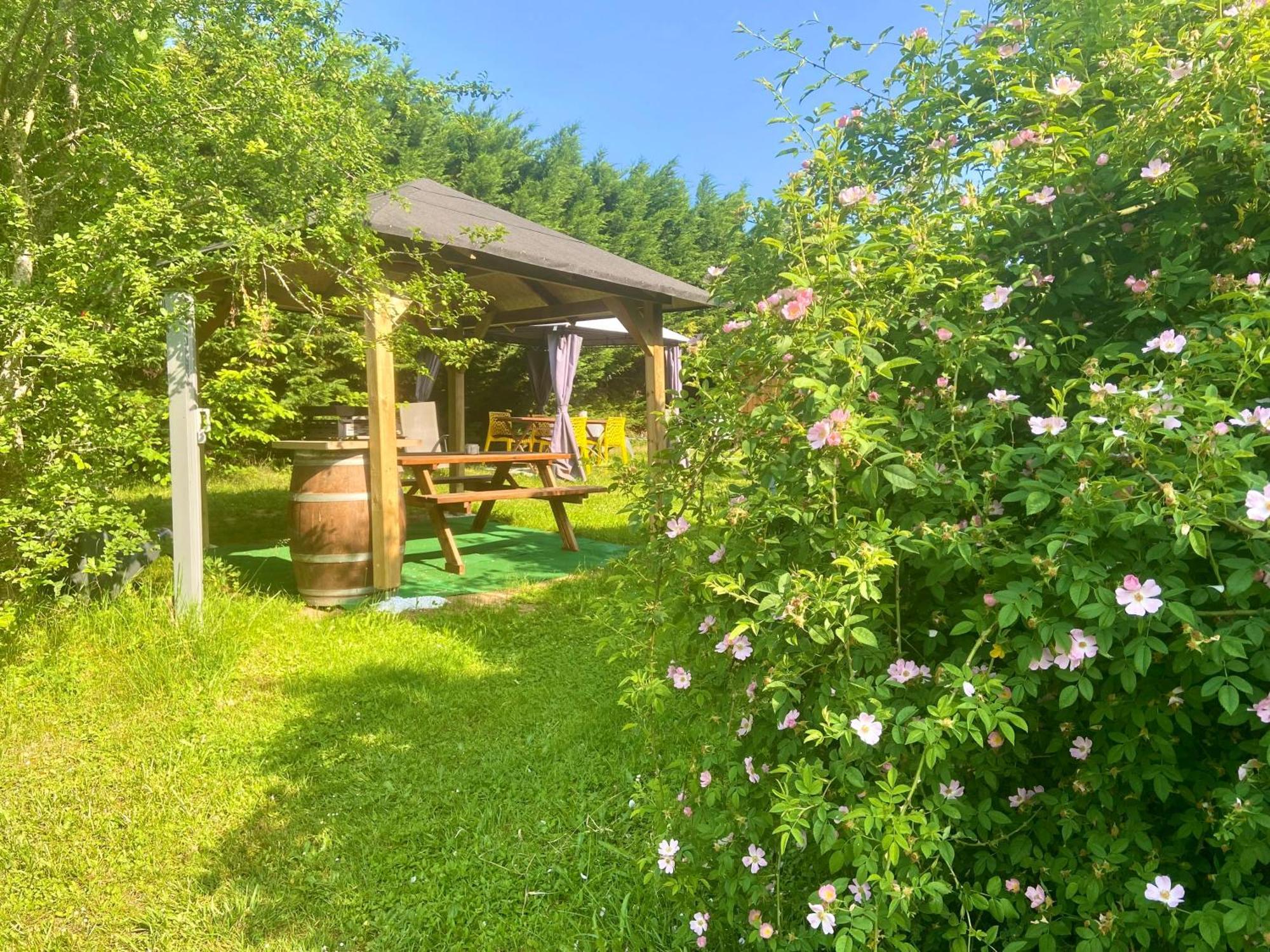O Clair De Lune Au Coeur De Sarlat - Chambres Climatisees - Parking Prive - Piscine Chauffee - Spa Et Massages מראה חיצוני תמונה